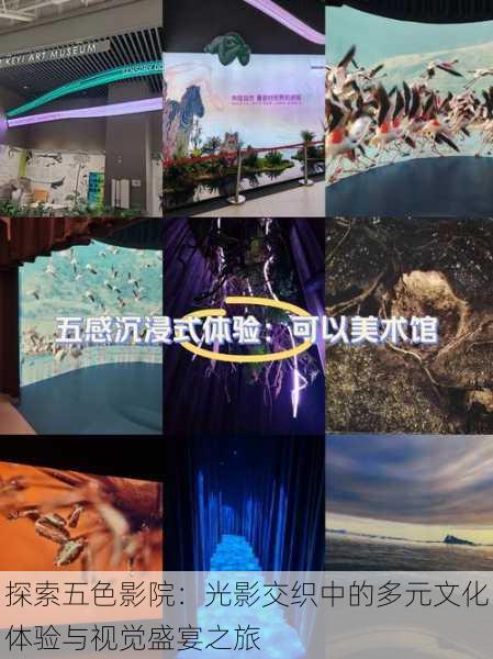 探索五色影院:光影交织中的多元文化体验与视觉盛宴之旅