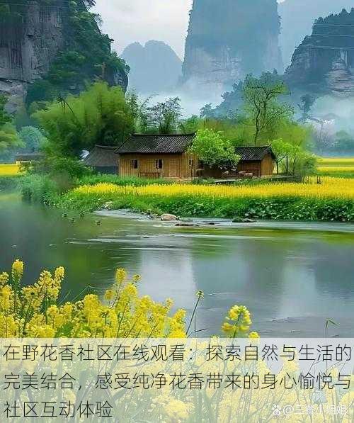 在野花香社区在线观看:探索自然与生活的完美结合,感受纯净花香带来的身心愉悦与社区互动体验