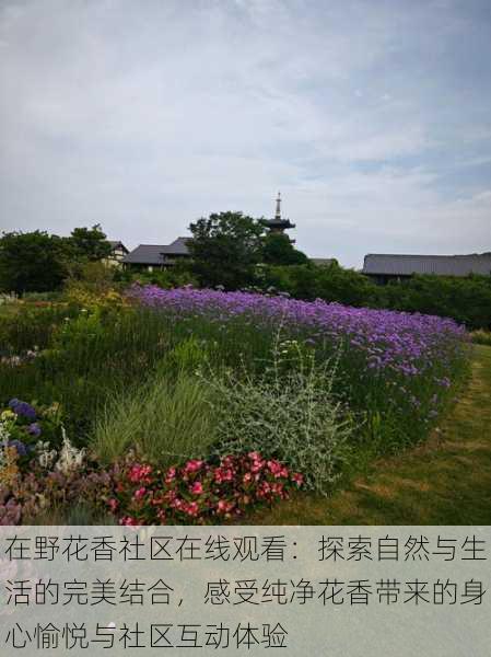 在野花香社区在线观看:探索自然与生活的完美结合,感受纯净花香带来的身心愉悦与社区互动体验