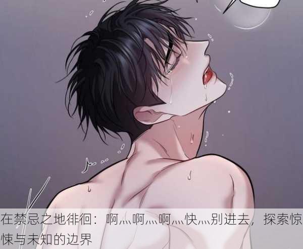 在禁忌之地徘徊:啊灬啊灬啊灬快灬别进去,探索惊悚与未知的边界