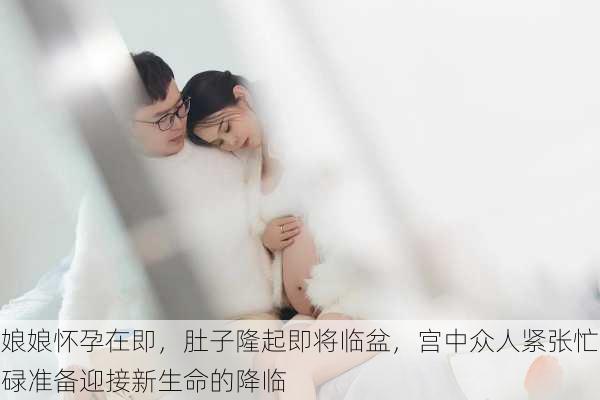 娘娘怀孕在即，肚子隆起即将临盆，宫中众人紧张忙碌准备迎接新生命的降临