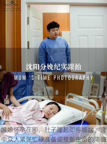 娘娘怀孕在即，肚子隆起即将临盆，宫中众人紧张忙碌准备迎接新生命的降临
