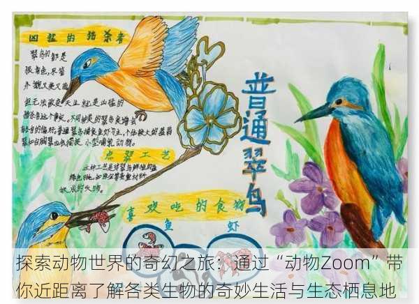 探索动物世界的奇幻之旅:通过“动物Zoom”带你近距离了解各类生物的奇妙生活与生态栖息地