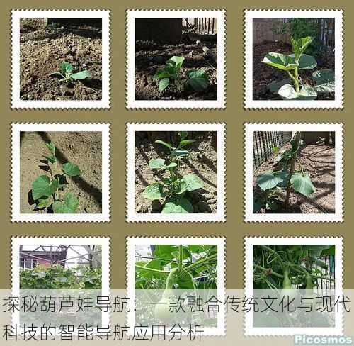 探秘葫芦娃导航:一款融合传统文化与现代科技的智能导航应用分析
