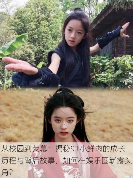 从校园到荧幕:揭秘91小鲜肉的成长历程与背后故事,如何在娱乐圈崭露头角?