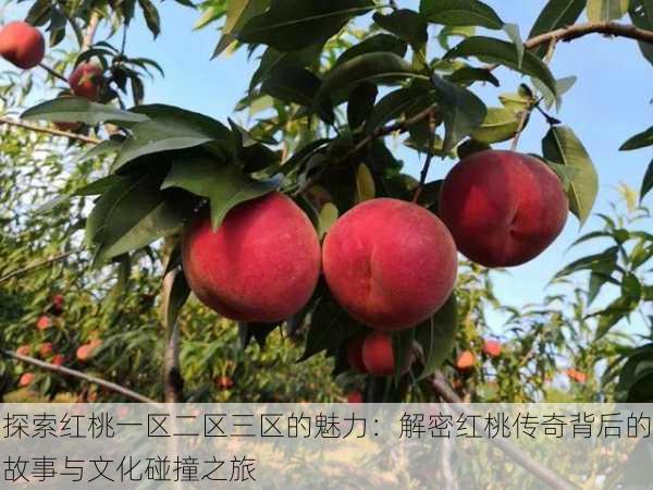 探索红桃一区二区三区的魅力:解密红桃传奇背后的故事与文化碰撞之旅