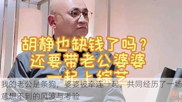 我的老公是条狗,婆婆被牵连一起,共同经历了一场意想不到的风波与考验