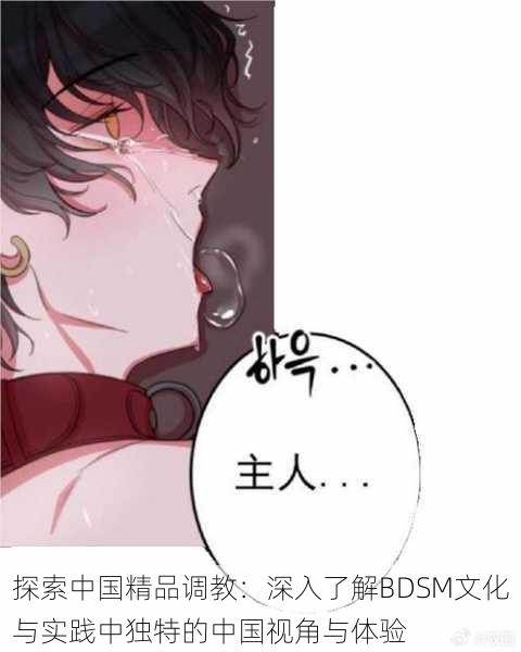 探索中国精品调教：深入了解BDSM文化与实践中独特的中国视角与体验