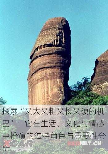 探索“又大又粗又长又硬的机巴”:它在生活、文化与情感中扮演的独特角色与重要性分析
