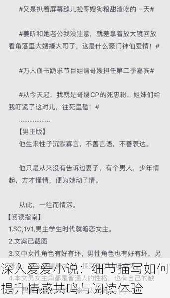 深入爱爱小说:细节描写如何提升情感共鸣与阅读体验