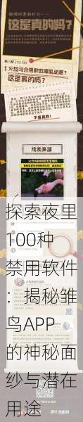 探索夜里100种禁用软件:揭秘雏鸟APP的神秘面纱与潜在用途