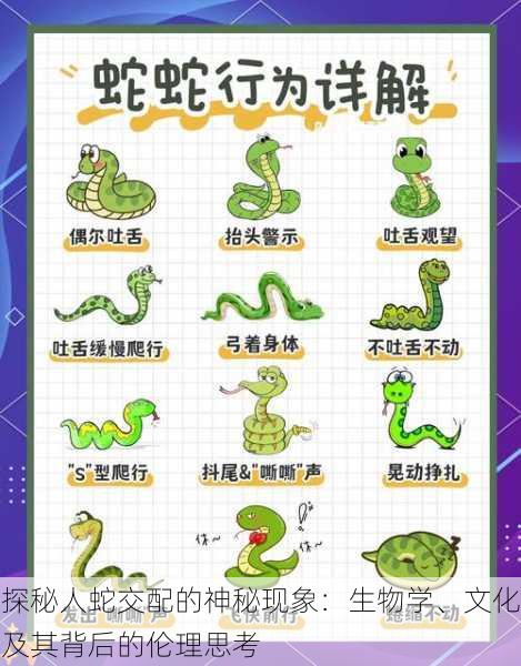探秘人蛇交配的神秘现象:生物学、文化及其背后的伦理思考