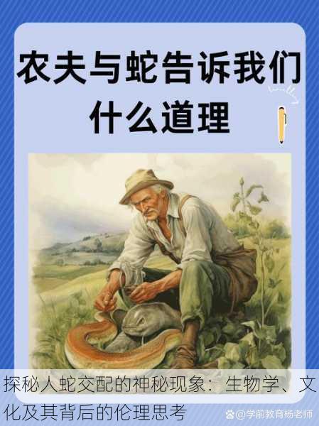 探秘人蛇交配的神秘现象:生物学、文化及其背后的伦理思考