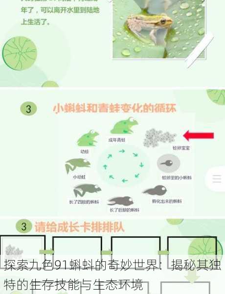 探索九色91蝌蚪的奇妙世界：揭秘其独特的生存技能与生态环境
