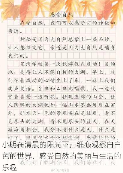 小明在清晨的阳光下，细心观察白白色的世界，感受自然的美丽与生活的乐趣