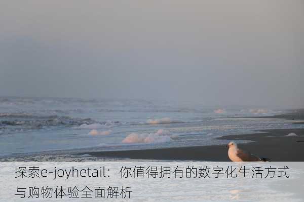 探索e-joyhetail:你值得拥有的数字化生活方式与购物体验全面解析