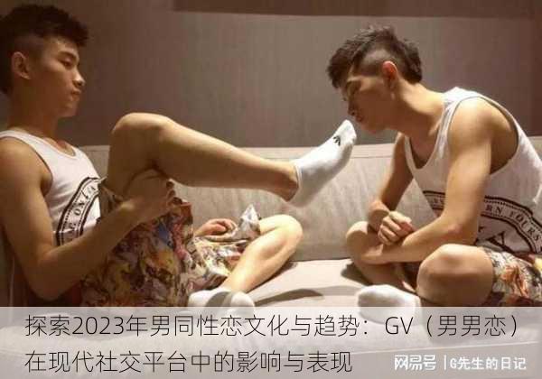 探索2023年男同性恋文化与趋势:GV(男男恋)在现代社交平台中的影响与表现