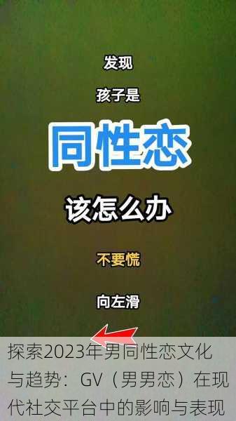 探索2023年男同性恋文化与趋势:GV(男男恋)在现代社交平台中的影响与表现