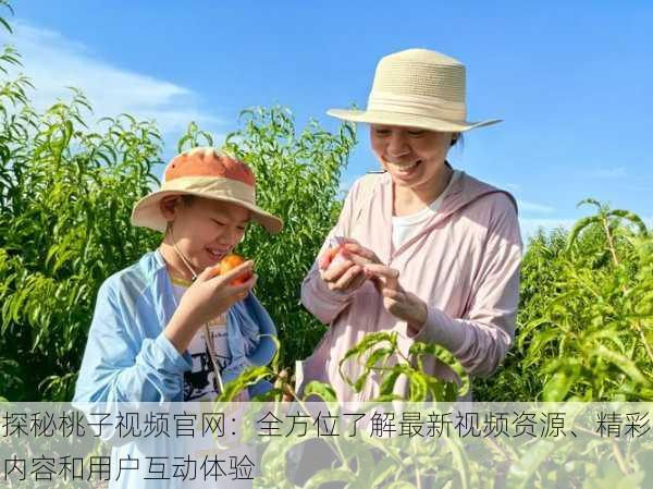 探秘桃子视频官网:全方位了解最新视频资源、精彩内容和用户互动体验