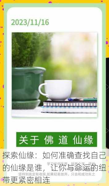 探索仙缘:如何准确查找自己的仙缘是谁,让你与命运的纽带更紧密相连