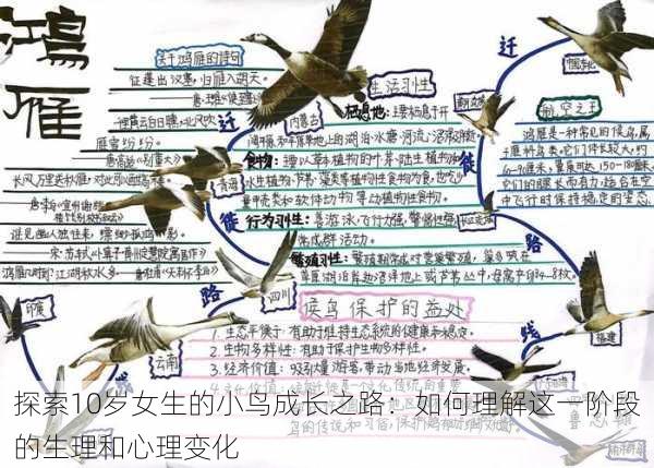探索10岁女生的小鸟成长之路:如何理解这一阶段的生理和心理变化