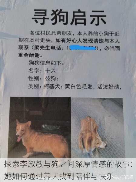 探索李淑敏与狗之间深厚情感的故事:她如何通过养犬找到陪伴与快乐