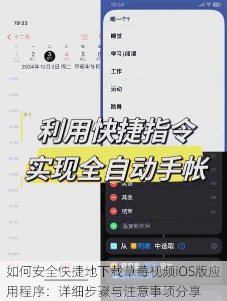 如何安全快捷地下载草莓视频iOS版应用程序:详细步骤与注意事项分享