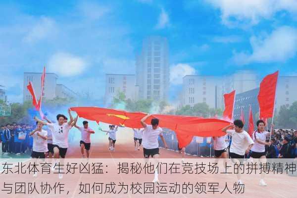 东北体育生好凶猛:揭秘他们在竞技场上的拼搏精神与团队协作,如何成为校园运动的领军人物