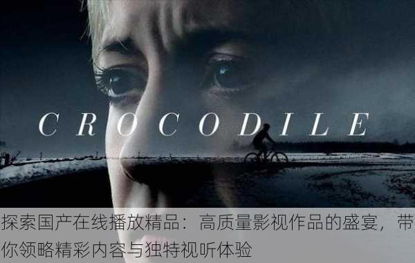 探索国产在线播放精品:高质量影视作品的盛宴,带你领略精彩内容与独特视听体验