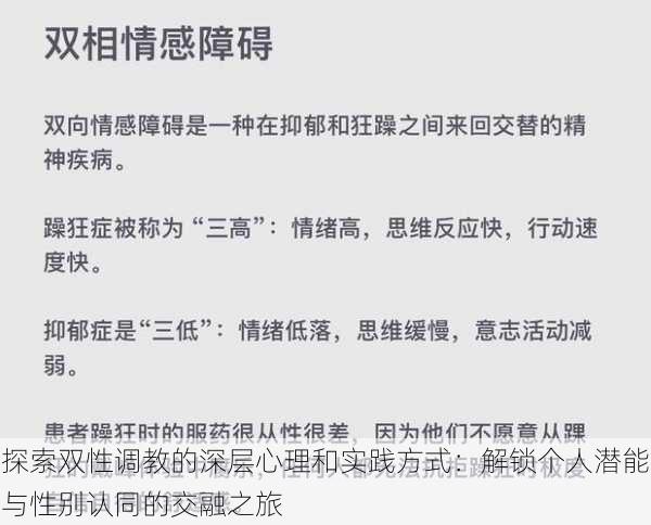 探索双性调教的深层心理和实践方式:解锁个人潜能与性别认同的交融之旅