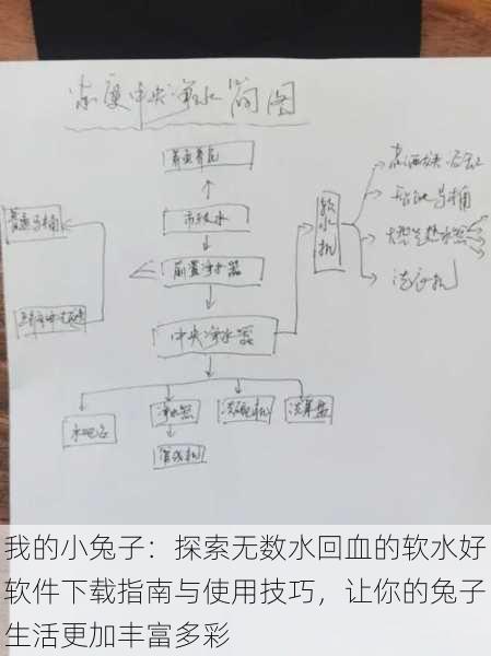 我的小兔子:探索无数水回血的软水好软件下载指南与使用技巧,让你的兔子生活更加丰富多彩