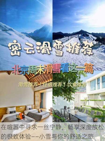 在喧嚣中寻求一丝宁静,畅享深度放松的极致体验——小雪与你的舒适之旅