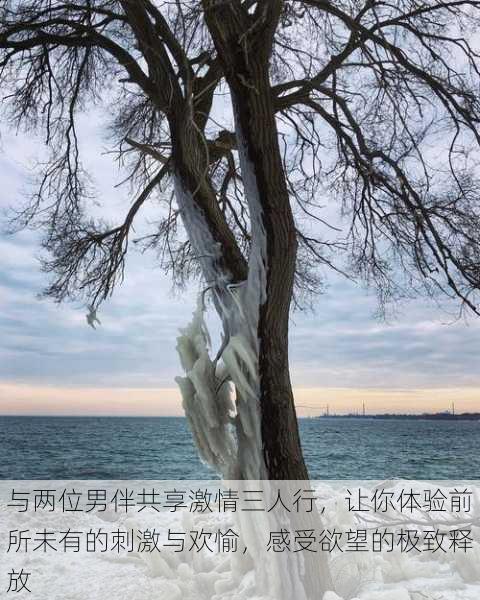 与两位男伴共享激情三人行,让你体验前所未有的刺激与欢愉,感受欲望的极致释放