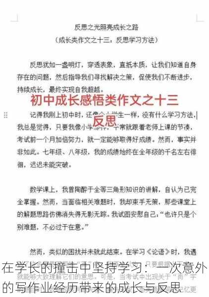 在学长的撞击中坚持学习:一次意外的写作业经历带来的成长与反思