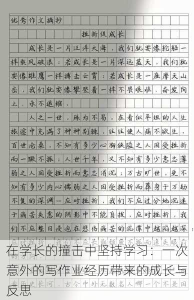在学长的撞击中坚持学习:一次意外的写作业经历带来的成长与反思