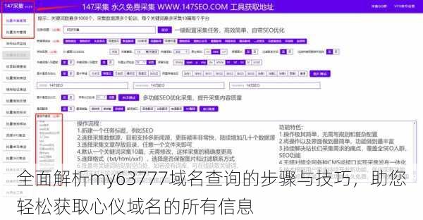 全面解析my63777域名查询的步骤与技巧,助您轻松获取心仪域名的所有信息