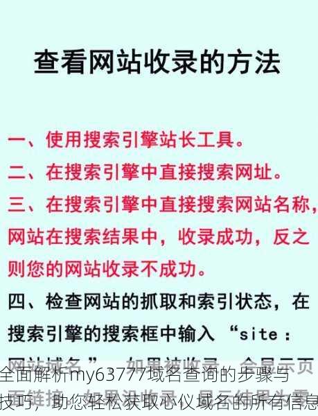 全面解析my63777域名查询的步骤与技巧,助您轻松获取心仪域名的所有信息