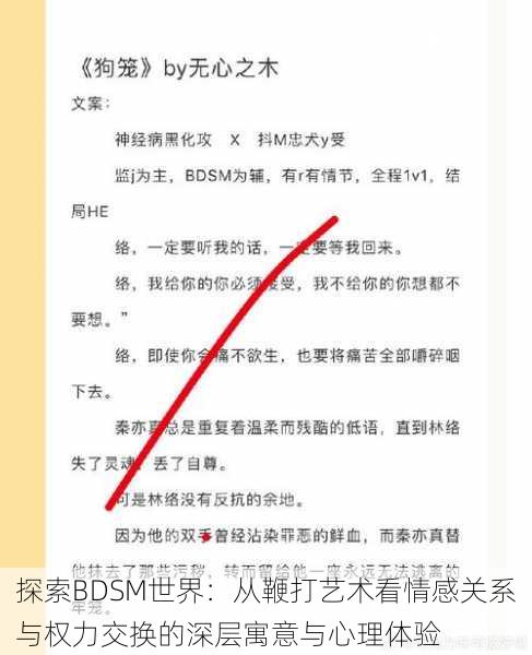 探索BDSM世界:从鞭打艺术看情感关系与权力交换的深层寓意与心理体验