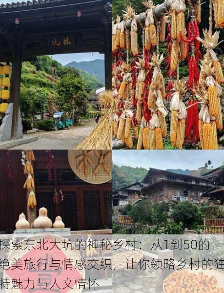 探索东北大坑的神秘乡村:从1到50的绝美旅行与情感交织,让你领略乡村的独特魅力与人文情怀