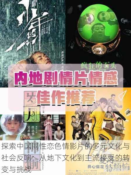 探索中国同性恋色情影片的多元文化与社会反响：从地下文化到主流接受的转变与挑战
