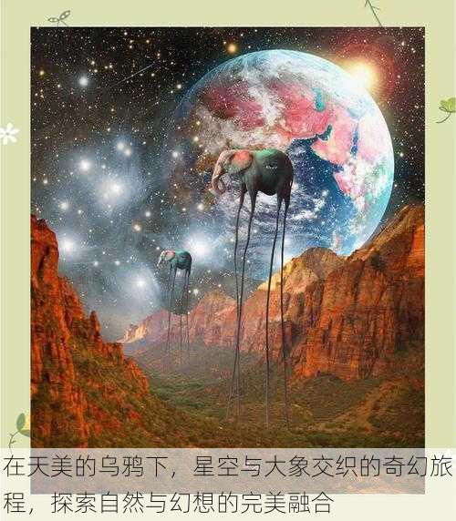 在天美的乌鸦下,星空与大象交织的奇幻旅程,探索自然与幻想的完美融合