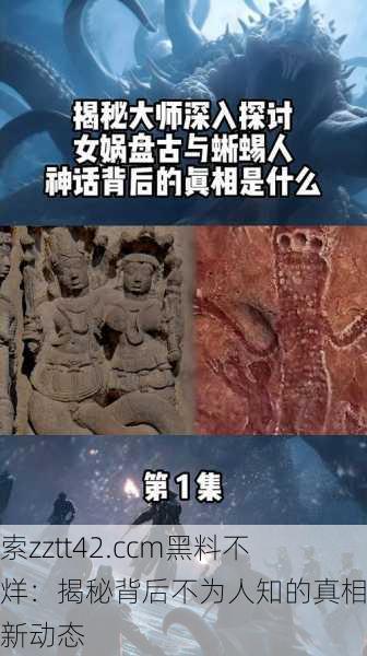 探索zztt42.ccm黑料不打烊:揭秘背后不为人知的真相与最新动态