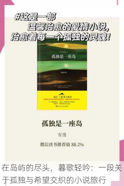 在岛屿的尽头,暮歌轻吟:一段关于孤独与希望交织的小说旅行