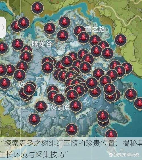 “探索忍冬之树绯红玉髓的珍贵位置:揭秘其生长环境与采集技巧”