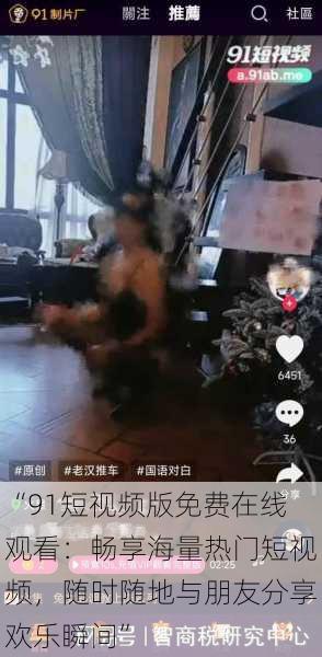 “91短视频版免费在线观看:畅享海量热门短视频,随时随地与朋友分享欢乐瞬间”