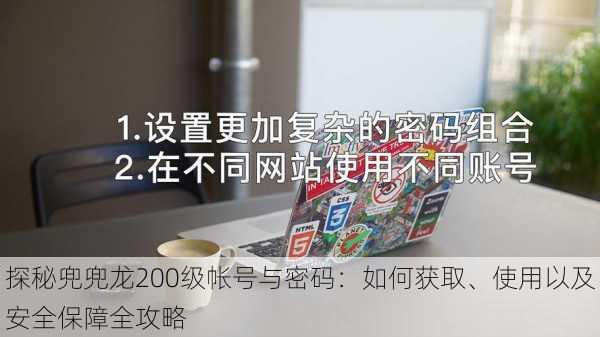 探秘兜兜龙200级帐号与密码:如何获取、使用以及安全保障全攻略