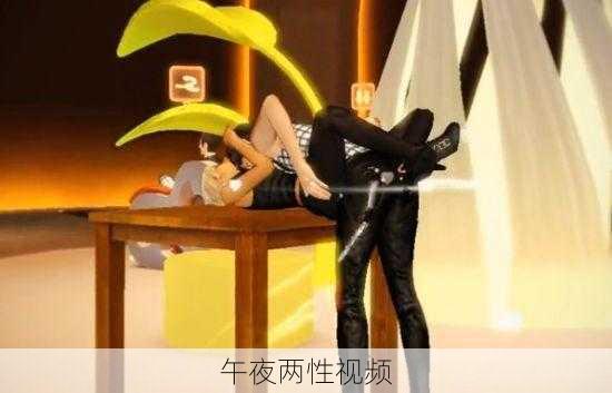 午夜两性视频