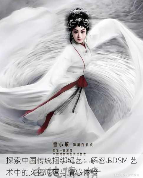 探索中国传统捆绑绳艺:解密 BDSM 艺术中的文化底蕴与情感体验