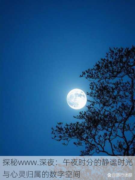 探秘www.深夜:午夜时分的静谧时光与心灵归属的数字空间