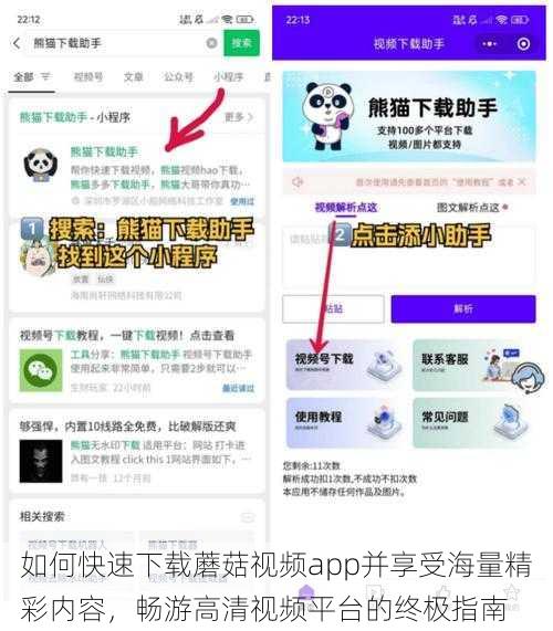 如何快速下载蘑菇视频app并享受海量精彩内容,畅游高清视频平台的终极指南